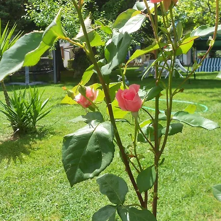 Oda ve Kahvaltı La Quercia