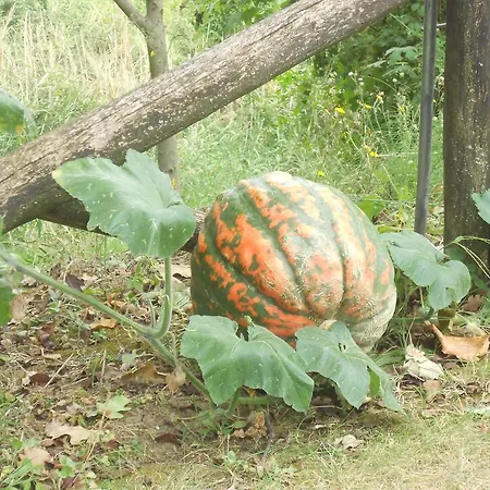 La Quercia 3*