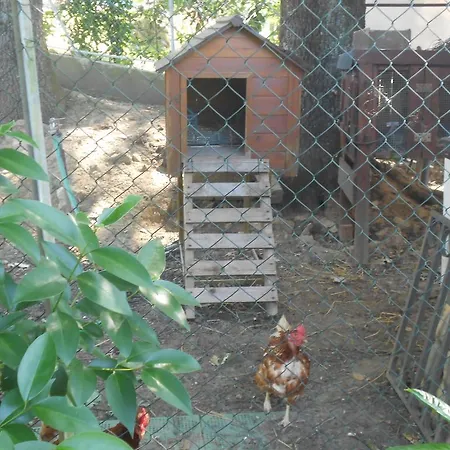 לינה וארוחת בוקר La Quercia