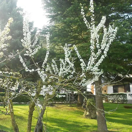 לינה וארוחת בוקר La Quercia